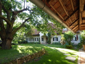  Lexsimihof  Вильдон